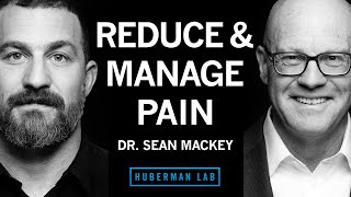 Dr Sean Mackey Tools to Reduce amp Manage Pain [upl. by Enait]