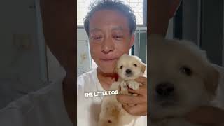 Man Saves Shivering Dog on a Rainy Day [upl. by Tenneb]