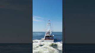 64’ Spencer Rolling out of Alabama Point sportfish yacht boating bama [upl. by Buke942]