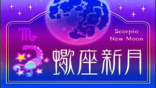 蠍座の新月は2024年11月1日｜願い事の叶え方と開運アクション [upl. by Parnas137]