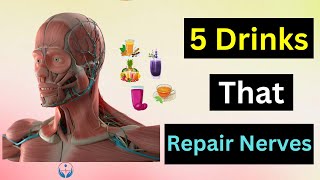 5 Drinks That Repair Nerves [upl. by Yrrol]