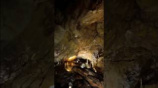 Tuckaleechee Caverns Tennessee [upl. by Huebner]