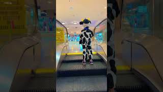 Cute little delightfulness 🤗elevating on the escalator with stunning moves😍🤪😇 [upl. by Brotherson234]