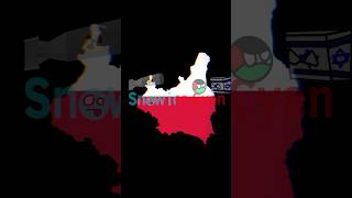 Run Poland 《》 🇩🇪🇵🇱🇷🇺 germany poland russia polandball countryballs fyp viralshorts ww2 [upl. by Nyleuqaj]