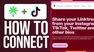 How To Make A Linktree On TikTok Easy [upl. by Seadon]