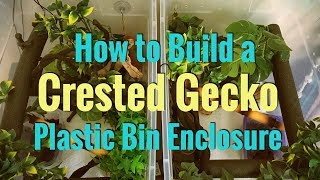 How to Build a Crested Gecko Plastic Bin Enclosure [upl. by Leemaj]