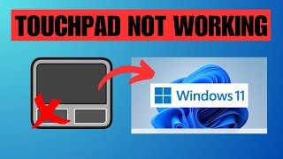 How To Fix Trackpad Not Working On Windows 11 Laptop [upl. by Ruthven]