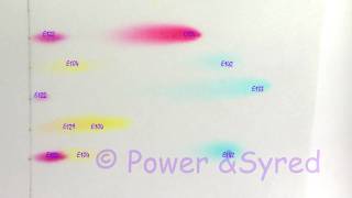 Food colouring chromatogram [upl. by Jo-Anne398]