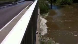 Hochwasser  Wasser umschließt Schönhausen [upl. by Ankeny]