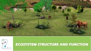 ECOSYSTEM STRUCTURE AND FUNCTION  PART 01 [upl. by Andaira]