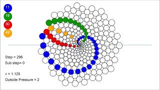 This is how phyllotaxis is born 3 [upl. by Shriver]