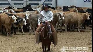 HIGHBROW SUPERCAT  2005 NCHA Futurity Champion [upl. by Tisdale305]