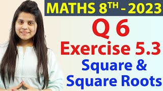 Q 6  Ex 53  Square and Square Roots  NCERT Maths Class 8th  Chapter 5 New Syllabus CBSE 2023 [upl. by Jobe]