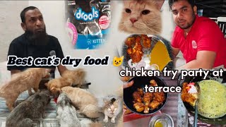 Chicken Fry Party At Terrace 🐔  Cats Ke Liye Konsa Cat Food Best Hai 🤔 [upl. by Atelra390]