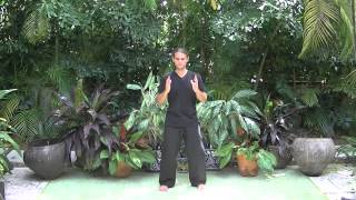 Microcosmic Orbit  Qigong Exercise [upl. by Ellekcir]