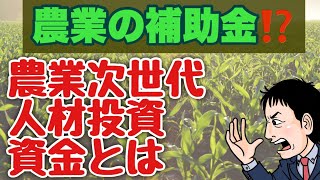 最大690万円！？農業の補助金！農業次世代人材投資資金とは？？ [upl. by Meredi]