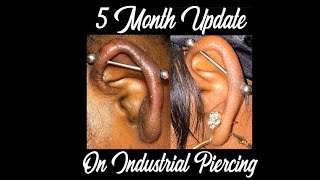 Industrial Piercing Update  The Healing Process [upl. by Aara]