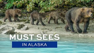 Must Sees in Alaska [upl. by Esorrebma]