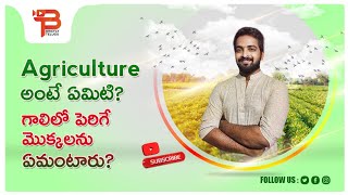 What is Agriculture  Types of Agriculture  Briefly Telugu  Agricultural Videos Series 01 [upl. by Oribel]