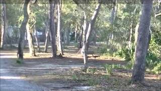 Video Tour of Raptor Ranch FamCamp at Tyndall AFB FL [upl. by Ahsieyk289]