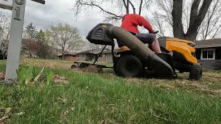 Dethatching With Agri Fab Tow Behind  Better Than By Hand [upl. by Kela966]