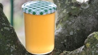 Apfelgelee Rezept  Der Bio Koch 550 [upl. by Adnylg]