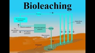 Bioleaching [upl. by Chrystel]