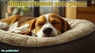 🐶Música Relajante Para Calmar Mascotas 💛 MUSICOTERAPIA Para Gatos Y Perros Inquietos O Nerviosos [upl. by Rafaj885]