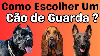 Como Escolher o Cão de Guarda Perfeito 10 Dicas Essenciais cães caesdeguarda viralvideos dogs [upl. by Annavahs]