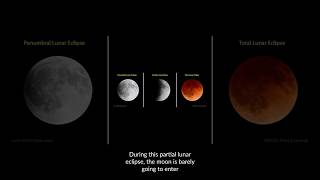 Eclipse Alert Partial Lunar Eclipse  September 17 2024 space astronomy lunareclipse [upl. by Sayres504]