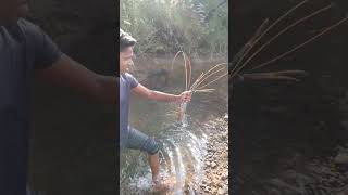 Khadi ka bhetla motha jhinga  fishing khekde trap waterfall fishing trap monsterwhitetail [upl. by Ynnol]