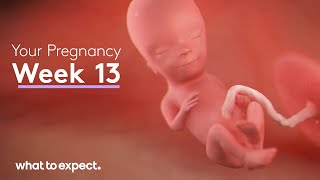 Your pregnancy 13 weeks [upl. by Boj]