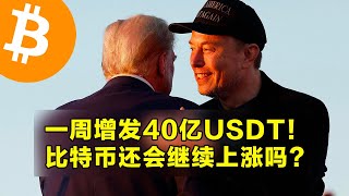 一周增发40亿美元USDT！比特币还会继续上涨吗？马斯克将领导政府效率部。  加密货币交易首选OKX [upl. by Blackburn563]