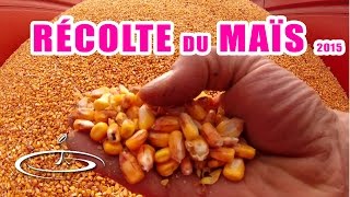 La récolte du maïs grain  2015 [upl. by Nnyrb]