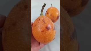 DELICIOSAS GRANADILLAS ❤️video tiktok viral viralvideo [upl. by Martyn895]