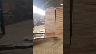 ‼️FORKLIFT LOADING PLYWOOD  Manufacturing Works in South Korea 🇰🇷 shorts [upl. by Younglove783]