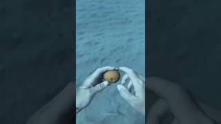 Diver Cracks Egg Under The Sea [upl. by Ahsekan696]