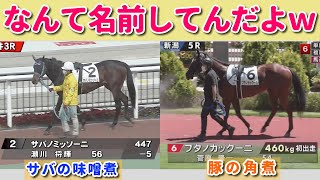 【お腹空いた】個性的すぎる名前を持った競走馬たちｗ見てて楽しいわこりゃｗ [upl. by Marv]