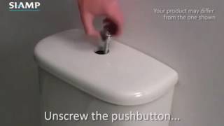 Plumbing Help Changing a Toilet Push Button [upl. by Hanser897]