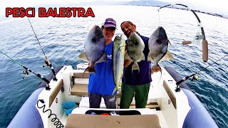 PESCA AL PESCE BALESTRA DAL GOMMONE [upl. by Anolla]