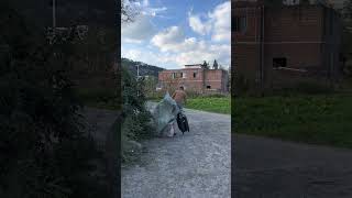 Rural life on the way home from work Funny video laugh every time you watch it [upl. by Anihsit]