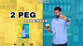 2 PEG  PARMINDER  Mr KB  Latest Punjabi Song 2024 [upl. by Ardnalahs]