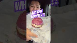 BK’s NEW Menu Items are KOOKY shorts food fastfood foodreview burgerking mukbang [upl. by Sikes]