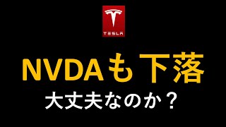 テスラ株 ４％下落 エヌビディアも７％暴落 大丈夫なのか 米テック業界？心配無用のわけ [upl. by Bitthia650]