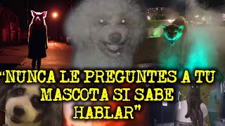 quotNO LE PREGUNTES A TU MASCOTA SI PUEDE HABLARquot RELATOS DE ANIMALES ACTUANDO COMO HUMANOS [upl. by Nivrag]