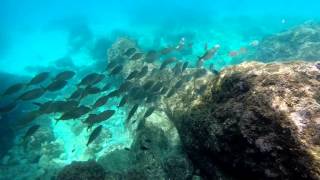 Snorkel en Bolonia y Cantarrijan España [upl. by Boys]