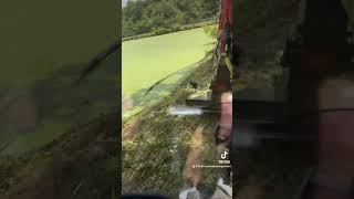 Pond mowing with vmc exg42 and Kubota kx040 excavator foryou mower diesel dirtwork kubota [upl. by Yuu]