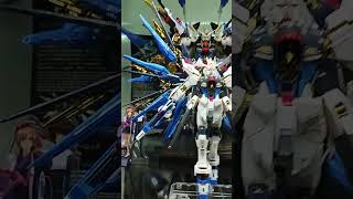 RG Strike Freedom Titanium finish gunpla strikefreedom [upl. by Fiel]