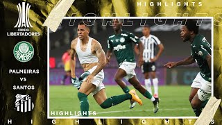 Palmeiras vs Santos  LIBERTADORES FINAL HIGHLIGHTS  1302021  beIN SPORTS USA [upl. by Fox]