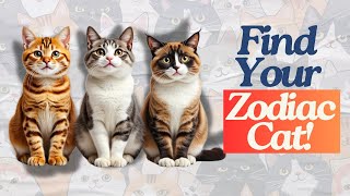 Best Cat Breed For Every Zodiac Sign [upl. by Ellenehc]